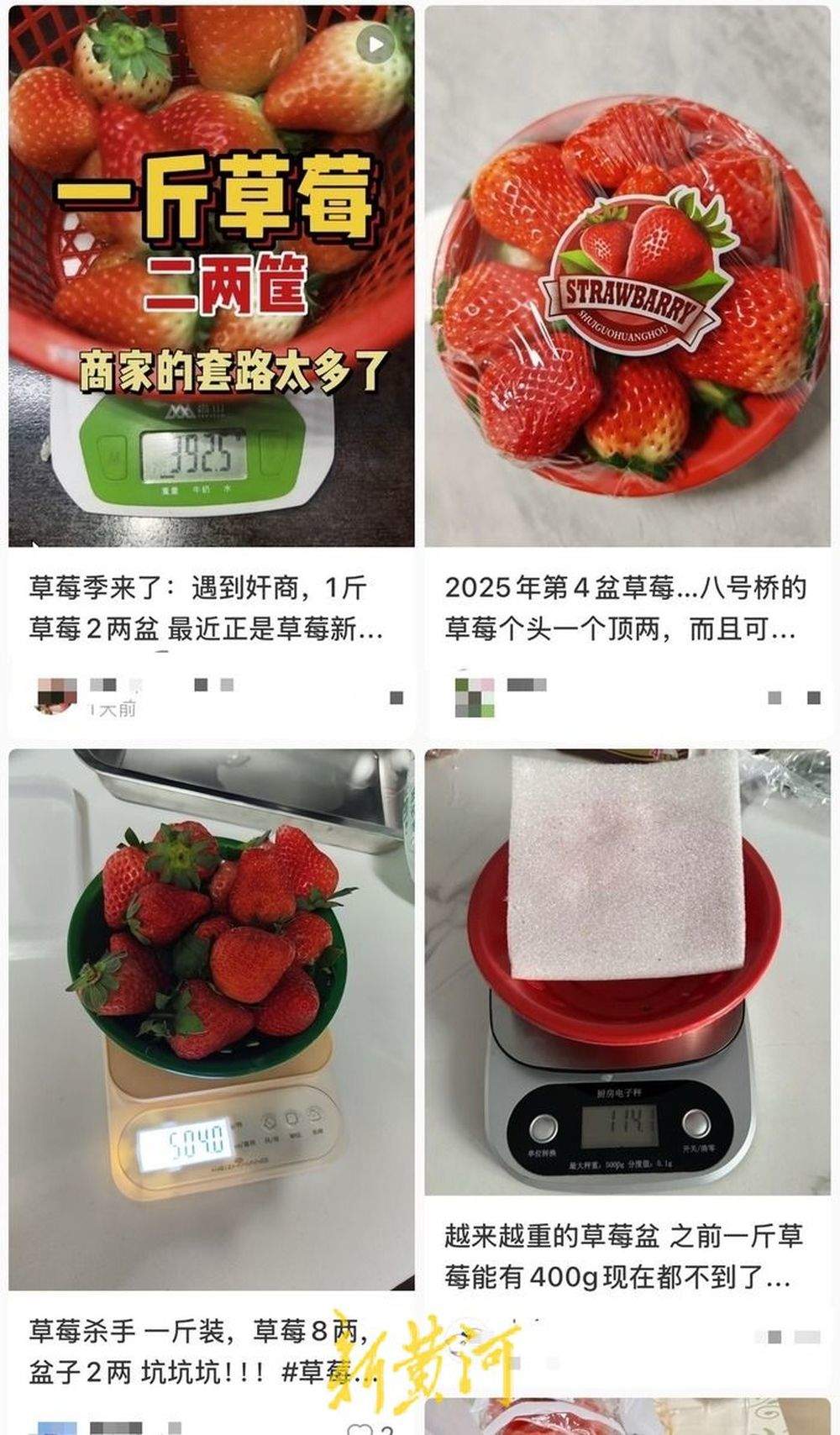 一斤草莓二两盆？盆重超标隐形加价，济南相关部门：已超允许计量偏差范围