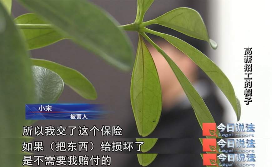 为了骗你的385元“保险费”，他们居然真给你找了份工作……