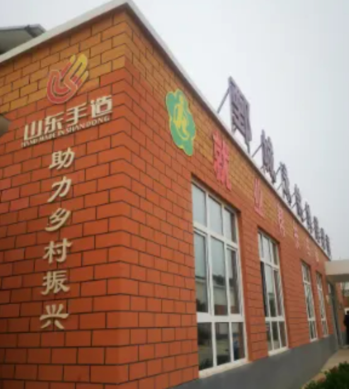 行走黄河丨“新”在菏泽