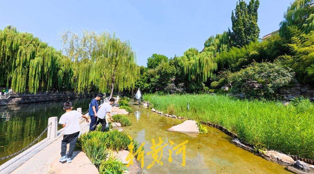 环城公园沙池变身生态浅溪 泉水浴场北侧景观焕新亮相