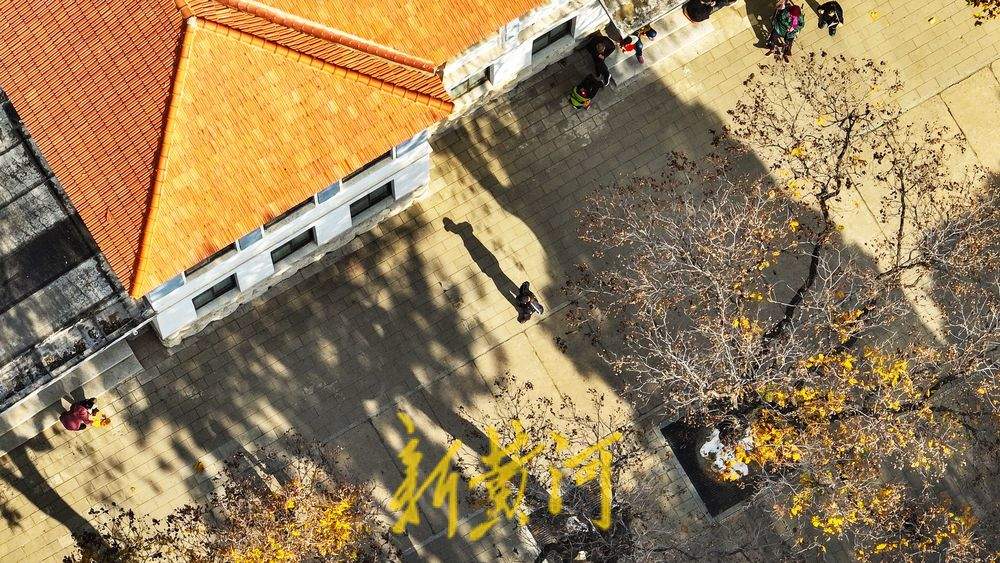 泉城百年历史的公园里邂逅初冬美景