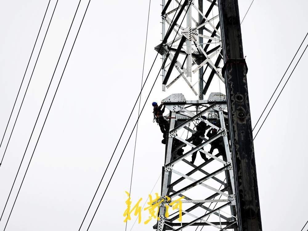 全线“首跨”！济枣铁路首条220kV跨既有线路电力线路迁改完成