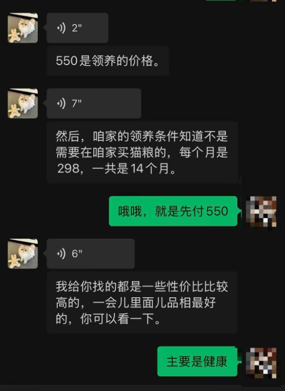 “免费”变“分期”?宠物店暗藏“猫贷”陷阱