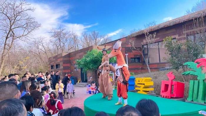 “齐鲁超赛”球票可享窗口票价8折优惠，济野第七届马戏嘉年华重磅升级