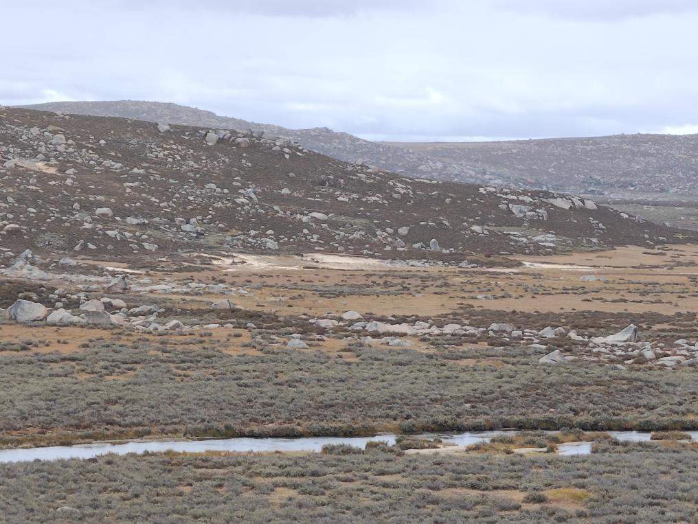 登至4300米！考古刷新青藏高原东部人类迁徙纪录