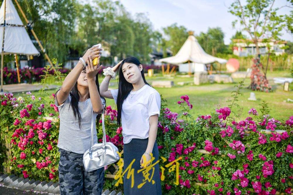 老城区新晋花墙打卡点 解锁初夏古城浪漫