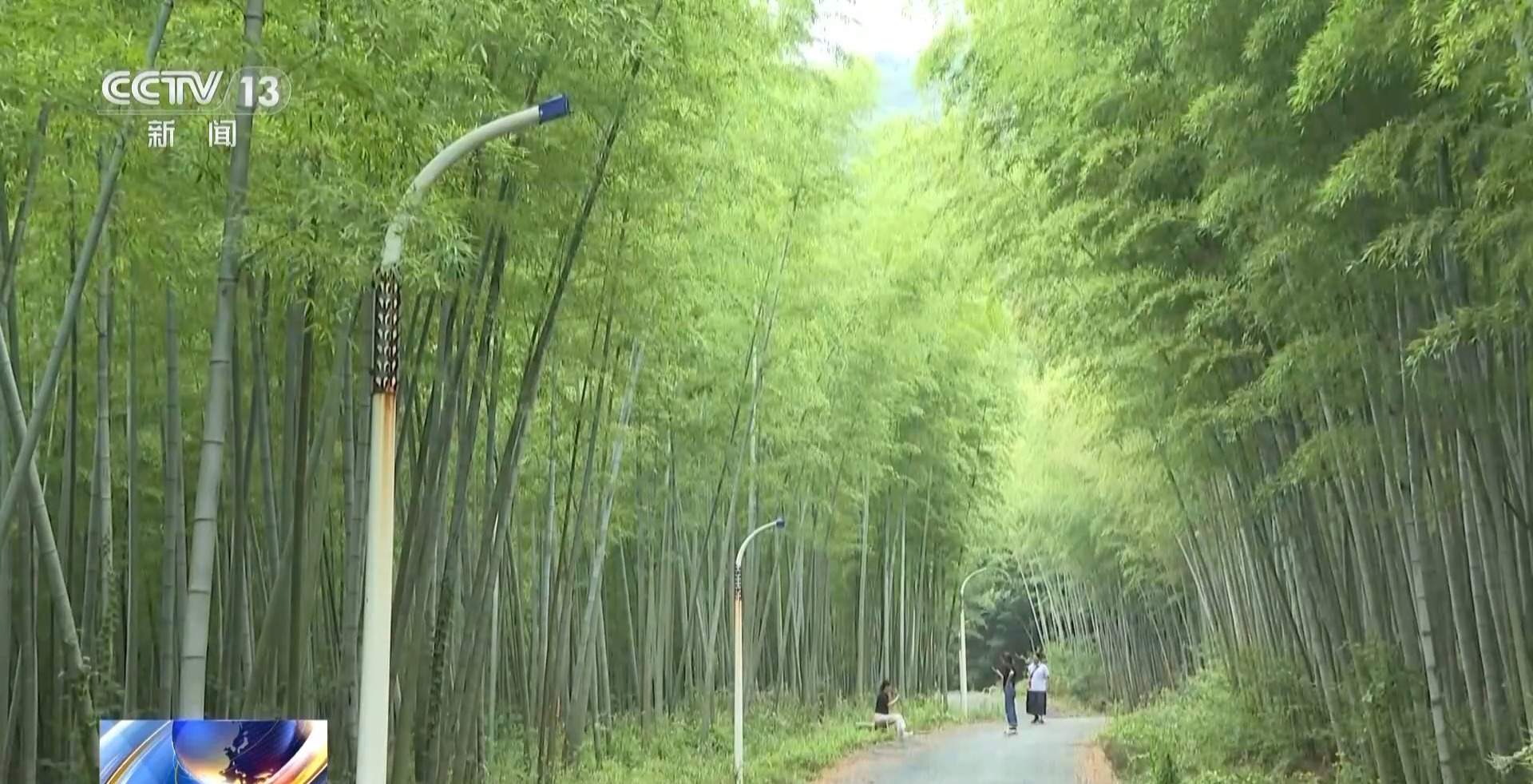 江苏一景区“月均6万元收编泼猴”引关注 “人猴冲突”如何解决?