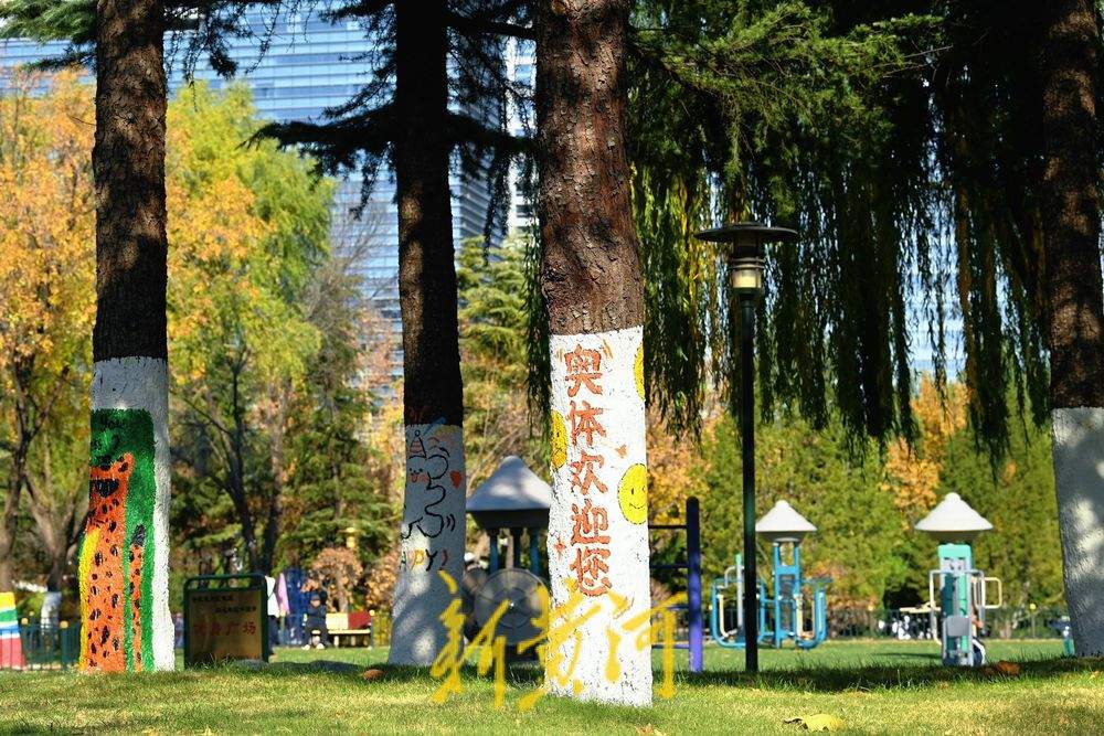 “熊猫爬树”“青蛙放气球”……济南奥体中心巧绘冬日树景