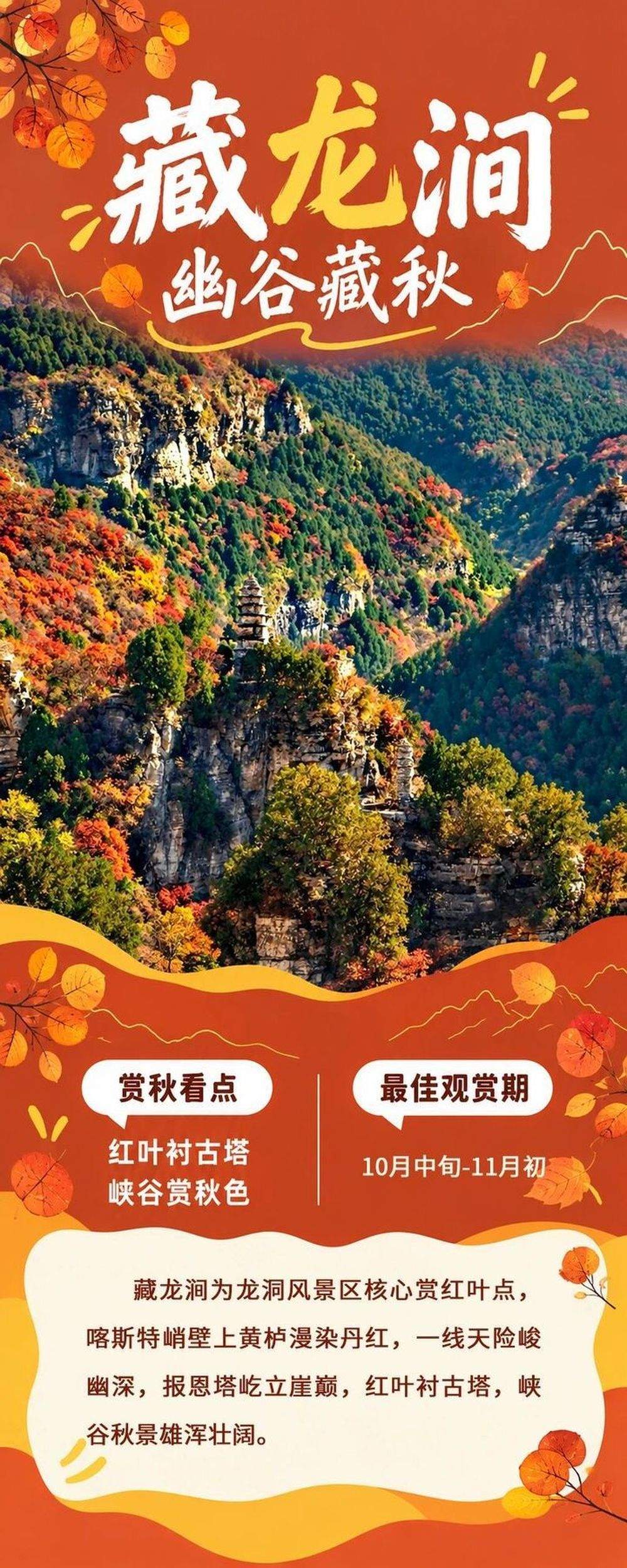 现在出发正当时！泉城红叶迎来最佳观赏期