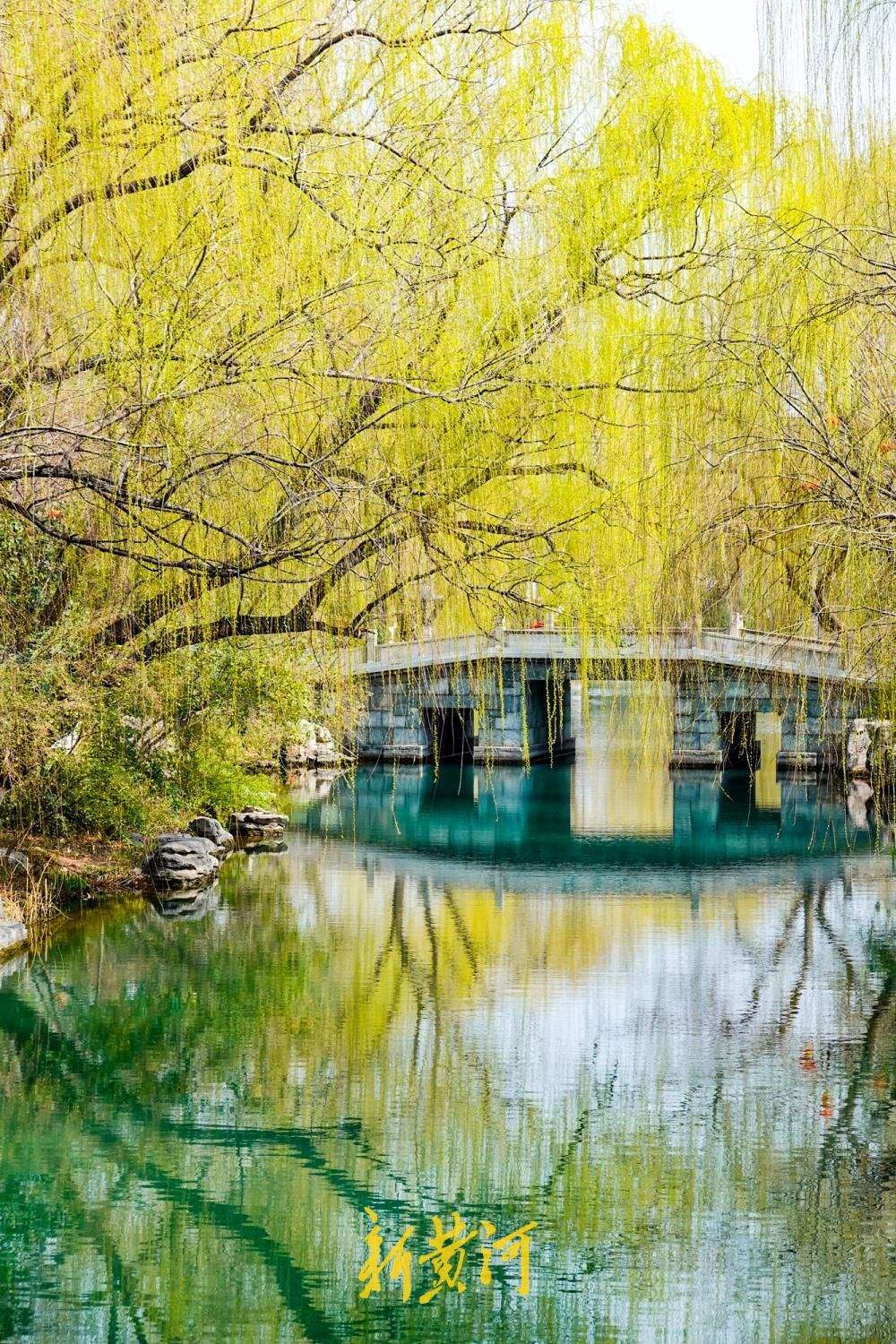 一年四季 泉在济南丨大明湖柳绿天蓝春意浓,汉服少女打卡定格春日美景