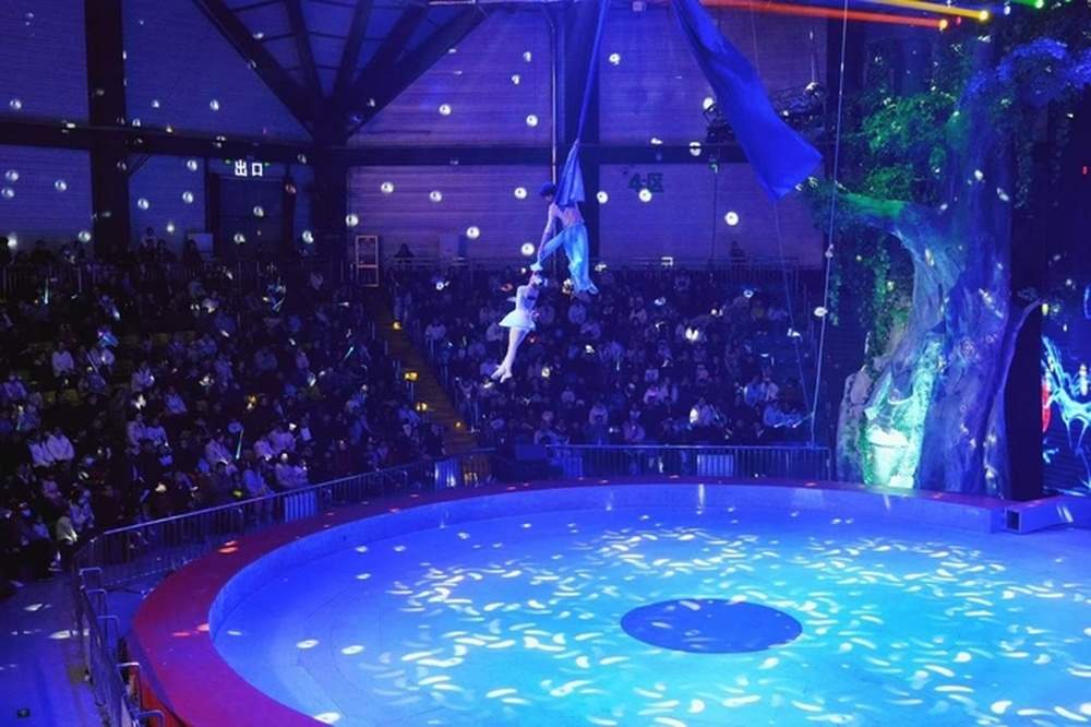 这个假期，家庭游、亲子游成济南游园主力军