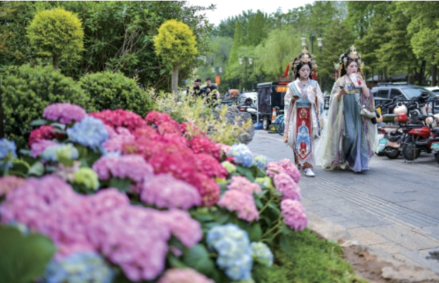 老城街巷里的“莫奈花园”　感受限定版浪漫