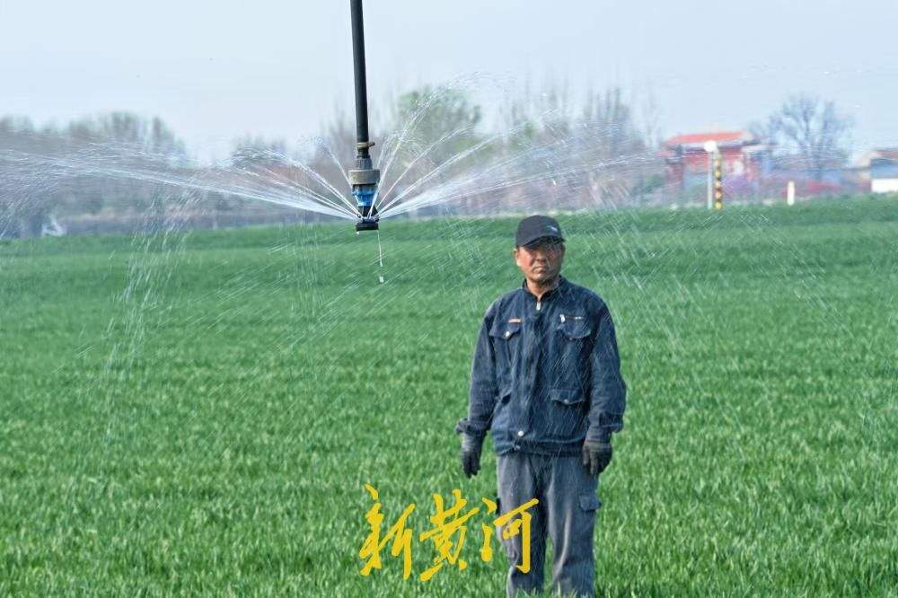 麦田里的“黑科技”，立体式春灌助力小麦春耕春管