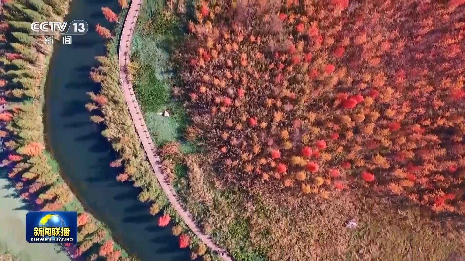 新思想引领新征程丨守护大美湿地 建设美丽中国