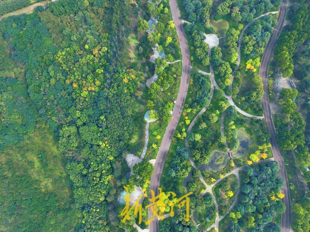 赏秋正当时，济南园博园色彩斑斓秋意浓