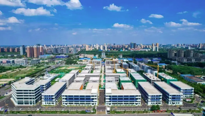 山东新春第一会，释放最强实干信号