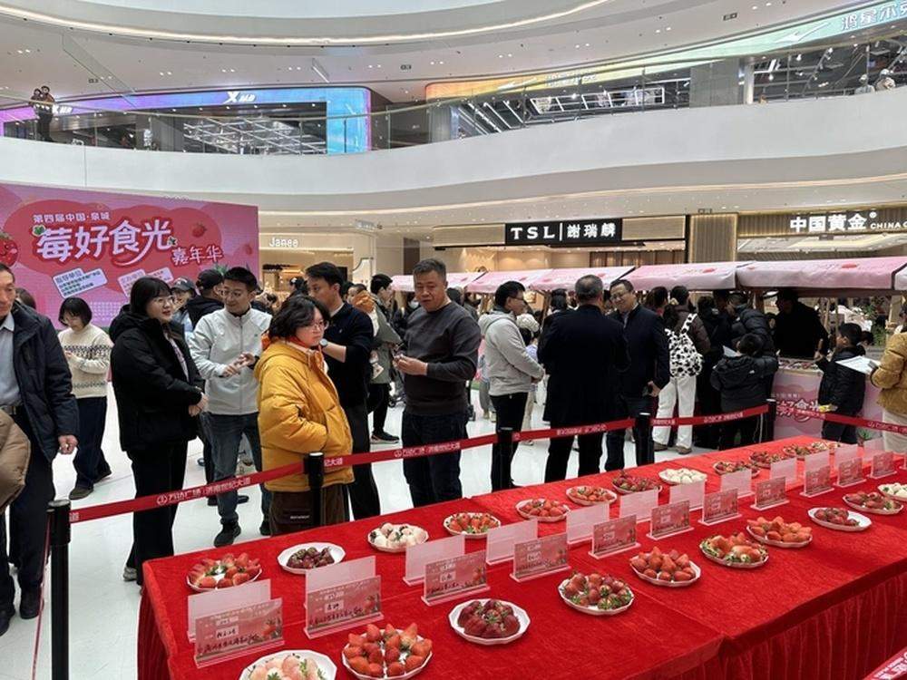 2026泉城“莓好食光”草莓采摘地图发布