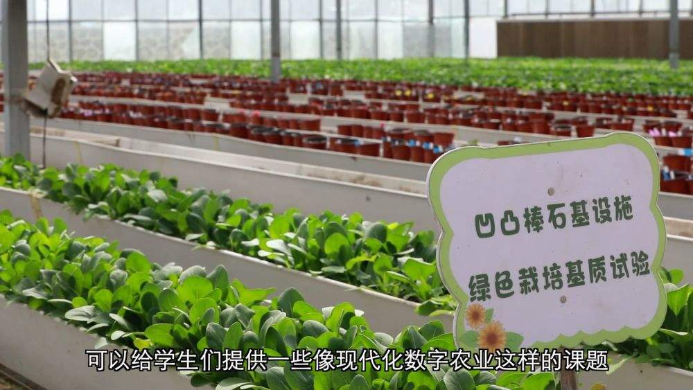 新华视点｜科技赋能 特色产业助力乡村振兴