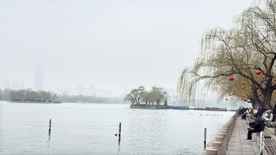 清风柳绿，春到大明湖