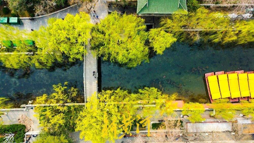 春雨润泉城，环城公园披绿绘就“绿丝带”画卷