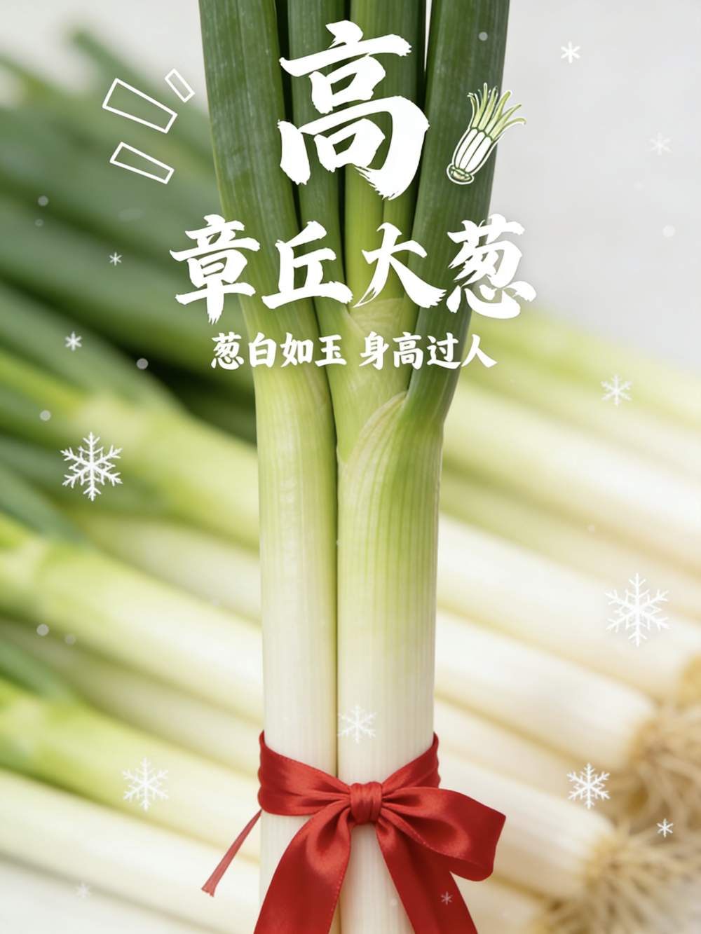 谁说冬天是淡季？看“鲁大壮”的冬日丰收图鉴！