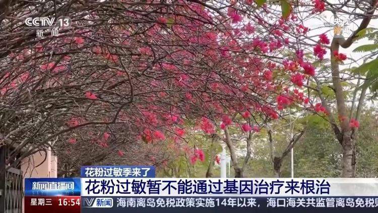 “一把鼻涕一把泪” 花粉过敏可以根治吗?预防指南