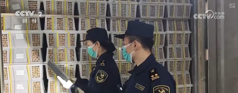 4.05万亿元、8.3%,首次突破!开放通道跑出“新速度”