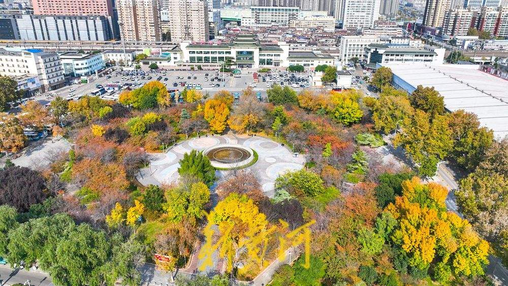 700余株樱花林层林浸染 ，济南湖滨广场迎来最绚丽的时节