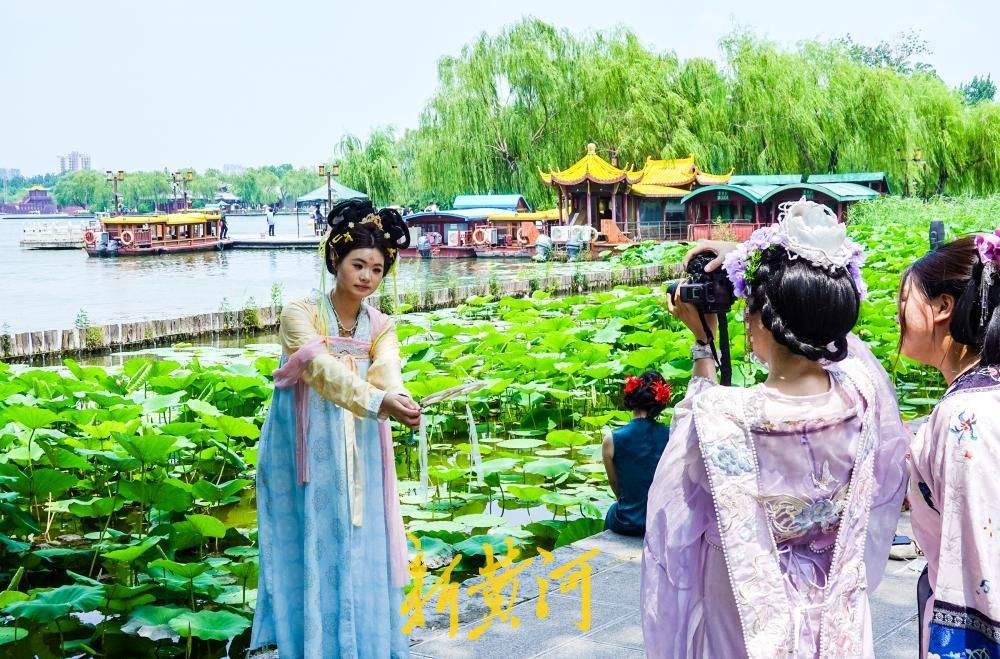 大明湖畔荷花竞相绽放,变身网红打卡点
