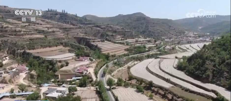 “科学防控+精准服务”各地积极应对旱情 保障高温天气农业生产