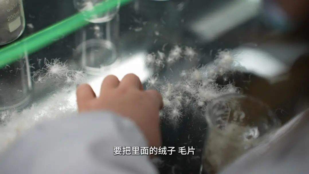羽绒服，除了含绒量，还有“含科技量”