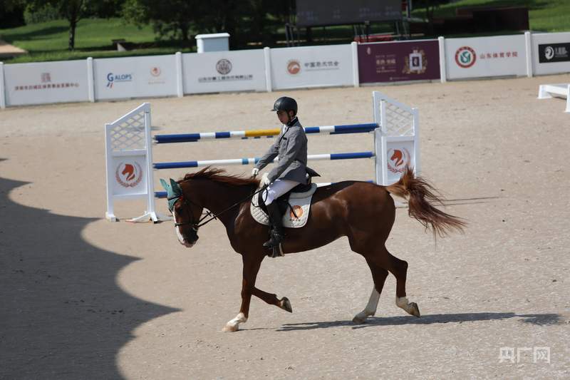 马年寻马：策马扬鞭启新程 马术体验点燃文体消费新热潮