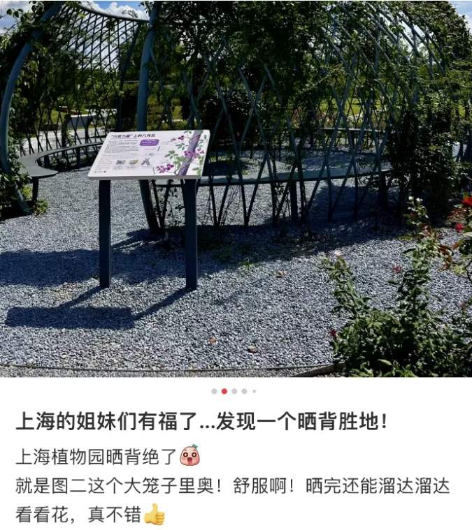 公园晒背被指辣眼睛，如何平衡个人自由与公共秩序的界限？