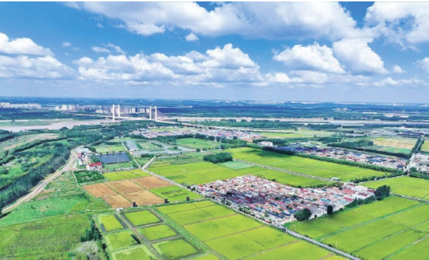 拧紧“科技密钥” 济南“稳粮故事”多