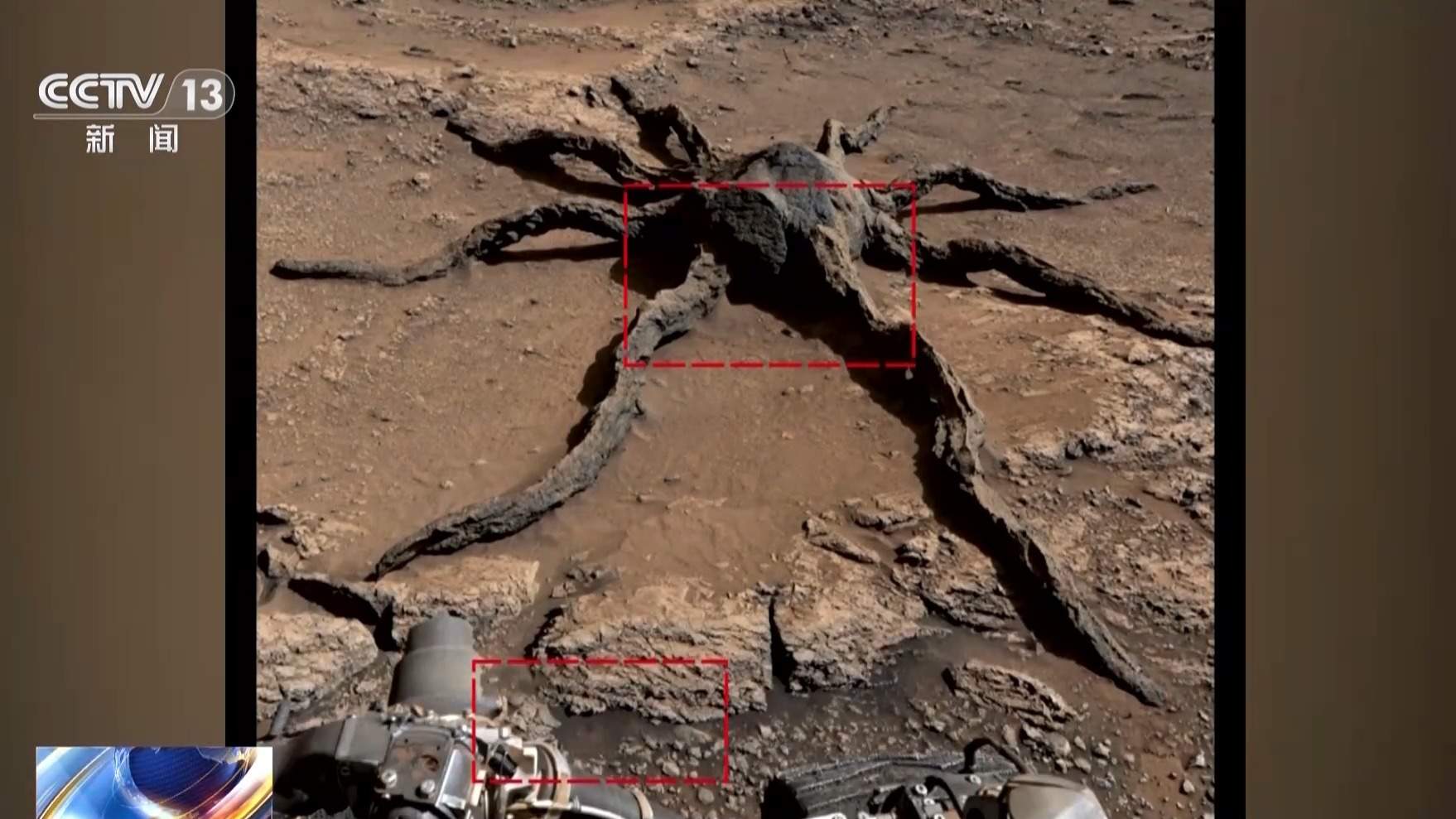 火星惊现“蜘蛛状岩层”？假的！网红图破绽百出