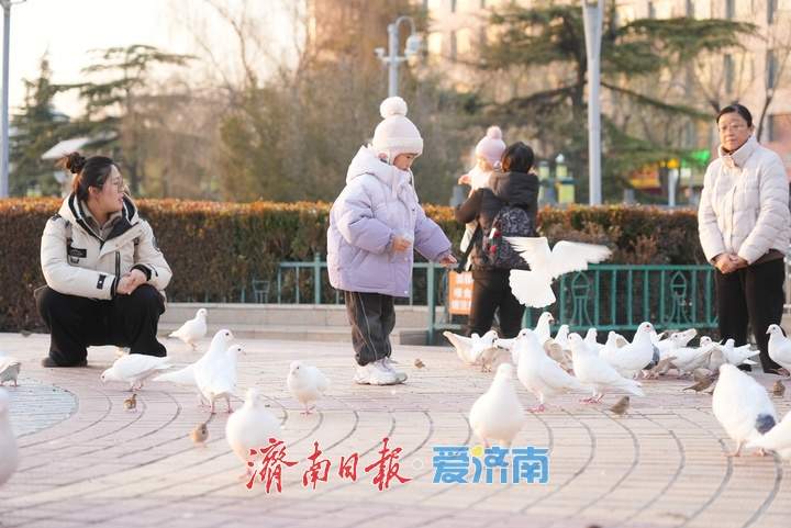 济南未来七天先暖后寒 25-26日将迎雨雪天气