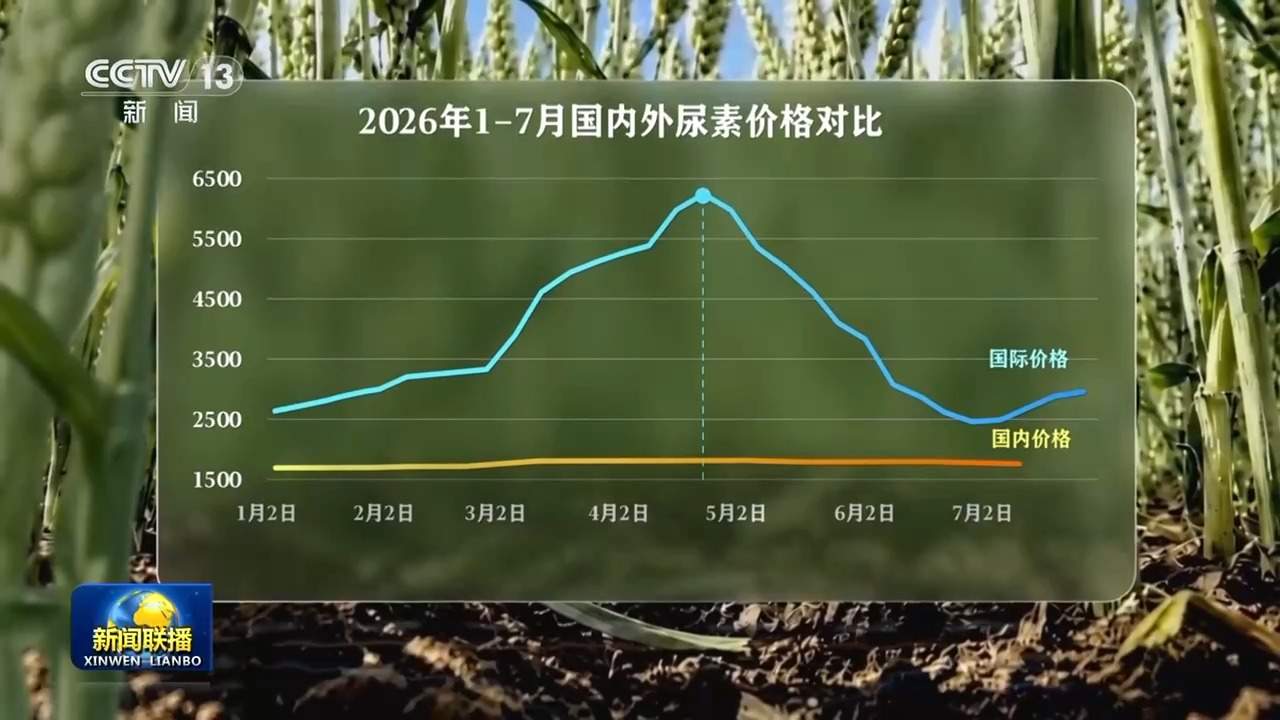 新思想引领新征程丨丰收背后的“稳”与“进”