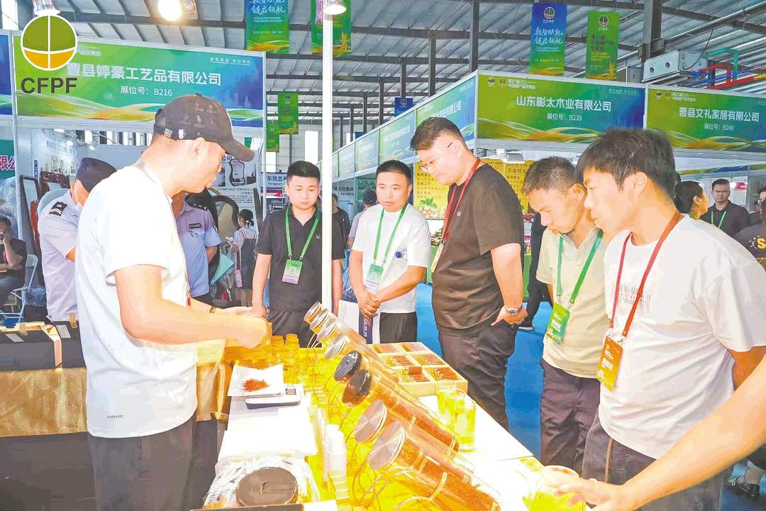 全国林交会为何连续三年开在这个鲁西南小镇？