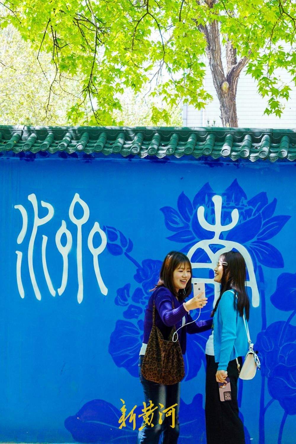 一年四季 泉在济南丨老商埠路口蓝墙“出圈”，水蓝墙“济南”字样成热门打卡点