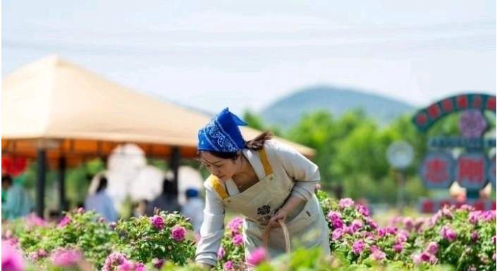 县级国土空间规划相继推出，济南都市圈正以何聚力