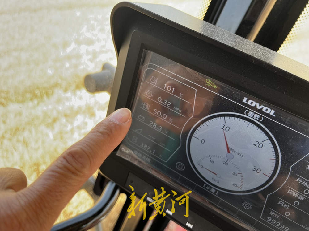 记者体验炙烤下的麦收：收割机驾驶室有空调，一小时割完20亩麦子