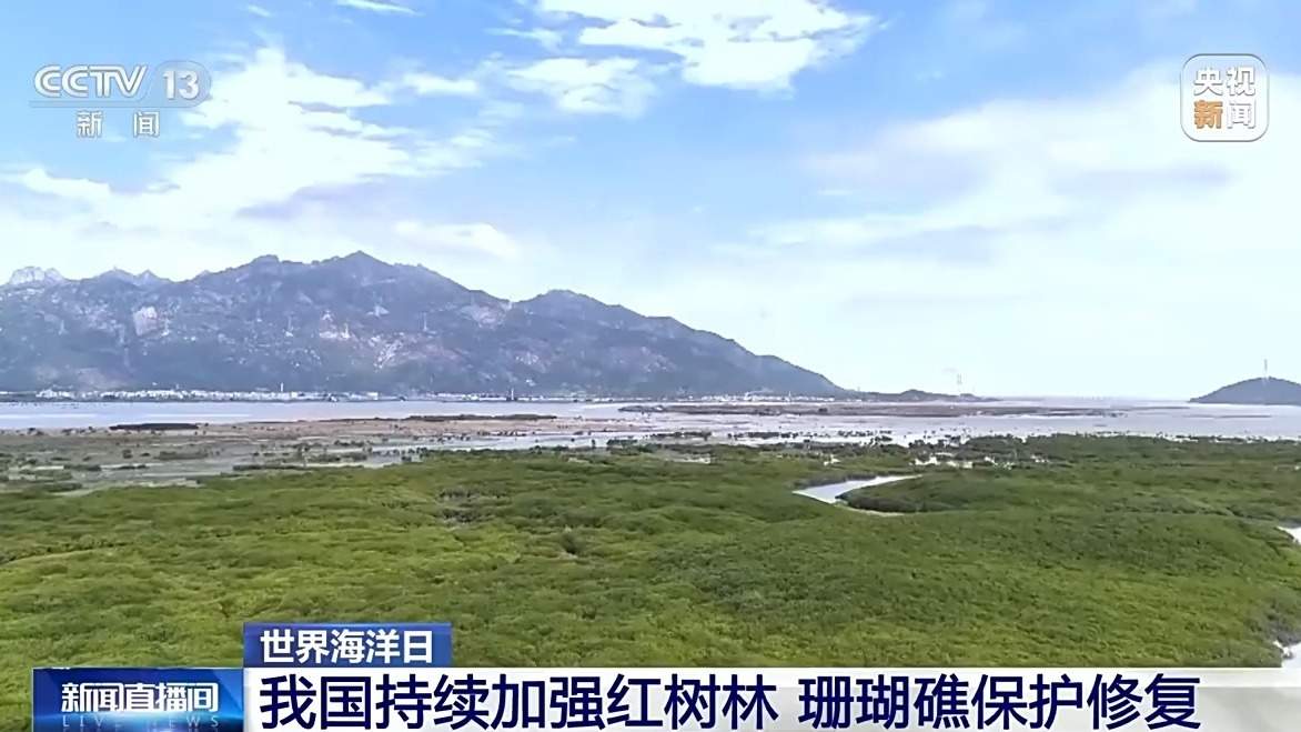 我国海洋能开发利用技术已迈入世界第一方阵