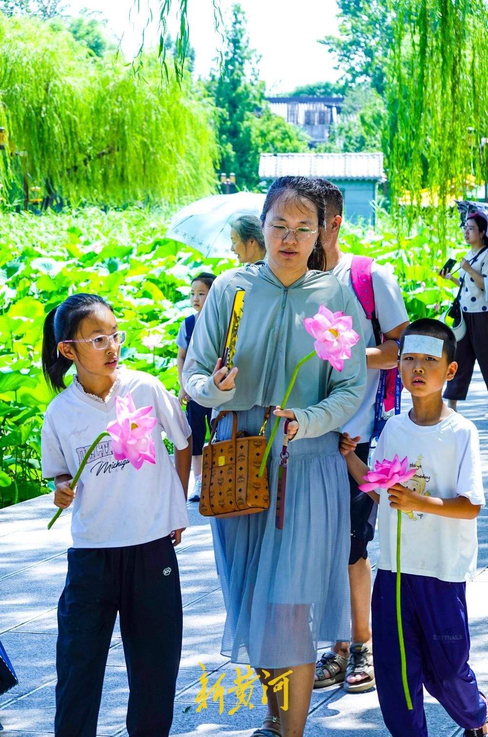 盛夏赏荷正当时，大明湖畔“荷花经济”悄然走红
