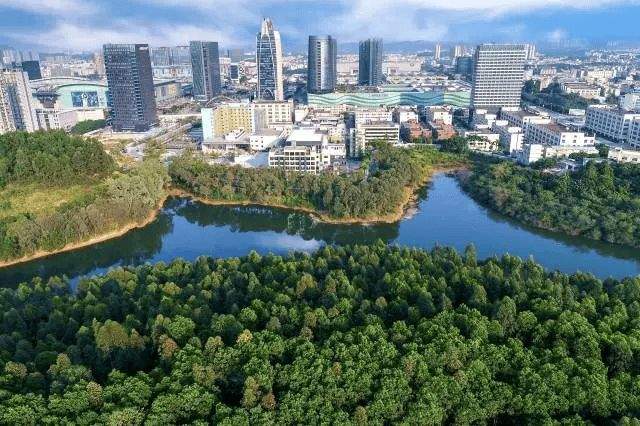 400套安居房售罄!金光华凤凰九里·恒苑圆满收官,创深圳“现象级”