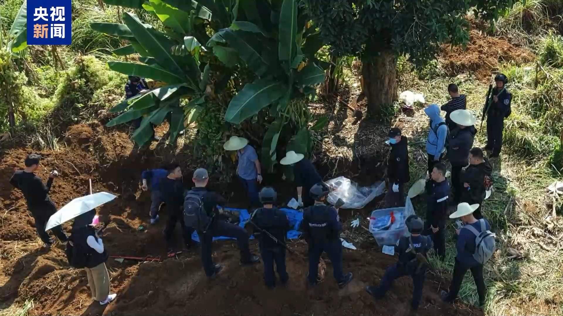 一审3人被判死刑!缅北魏家犯罪集团覆灭始末