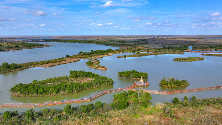顺流而下的生态守护 逆流而上的协作帮扶——黄河首尾，情系一脉