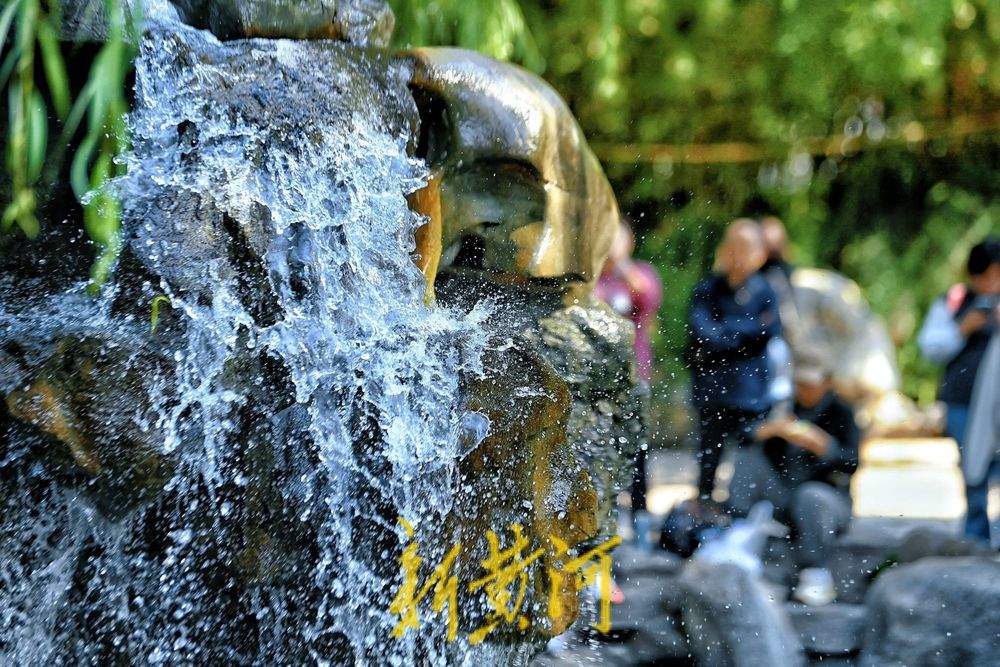 趵突泉水位刷新纪录，五龙潭“月牙飞瀑”胜景壮观
