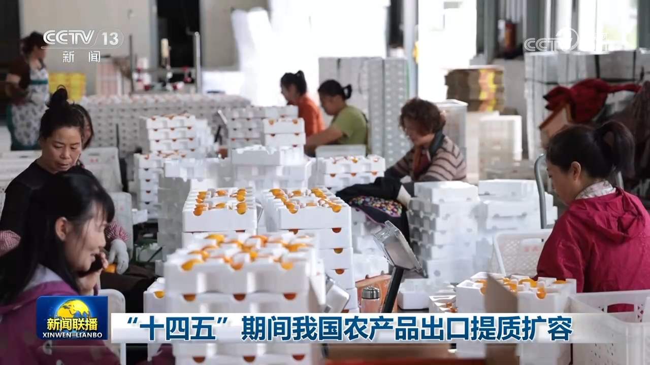 “十四五”期间我国农产品出口提质扩容