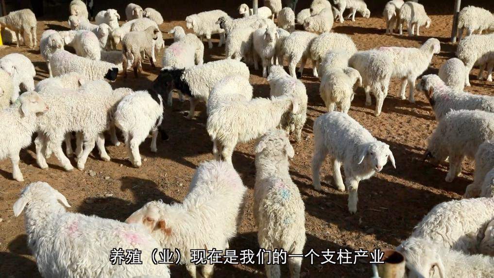 新华视点丨扎根乡土办实事 共筑和美新乡村