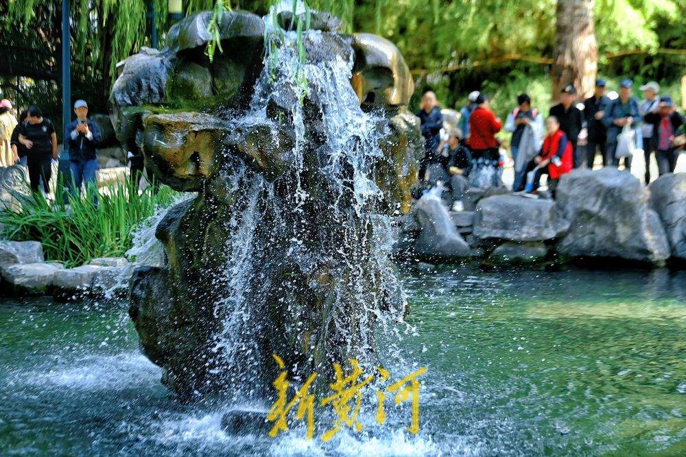 趵突泉水位刷新纪录，五龙潭“月牙飞瀑”胜景壮观